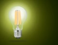 LED filament light bulb (E27) Royalty Free Stock Photo
