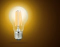 LED filament light bulb (E27) Royalty Free Stock Photo