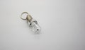 LED flashlight mini bulb with U shape keychain isolate on white Royalty Free Stock Photo