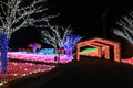 LED flowers garden at night