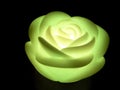 LED green rose light with black background