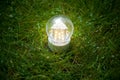 Led lamp on the grass