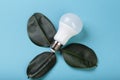 LED lamp with green leaf, ECO energy concept, Mixed media. Isolated, place for caption and text Royalty Free Stock Photo