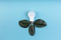 LED lamp with green leaf, ECO energy concept, Mixed media. Isolated, place for caption and text Royalty Free Stock Photo