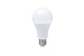 Led light bulb