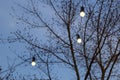 LED light bulbs outdoors in spring park Royalty Free Stock Photo