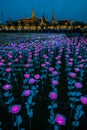 LED light decorations in Bangkok to celebrate the Coronation of King Rama X Royalty Free Stock Photo