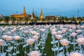 LED light decorations in Bangkok to celebrate the Coronation of King Rama X Royalty Free Stock Photo