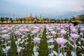 LED light decorations in Bangkok to celebrate the Coronation of King Rama X Royalty Free Stock Photo