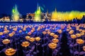 LED light decorations in Bangkok to celebrate the Coronation of King Rama X Royalty Free Stock Photo