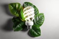 Leaves grow from the bulb LED light lamp, ECO energy concept.