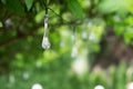 LED lighting in a droplet shape hanging in a green bush Royalty Free Stock Photo