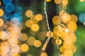 LED lights garland, colorful light bulbs on a bokeh background Royalty Free Stock Photo