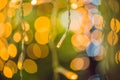 LED lights garland, colorful light bulbs on a bokeh background Royalty Free Stock Photo