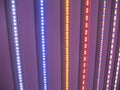 LED lights rainbow Royalty Free Stock Photo