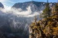 Ledge of a rock wall with pine trees