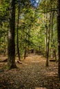 Ledges Trail Cuyahoga National Park Ohio Royalty Free Stock Photo