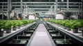 ledlights indoor agriculture