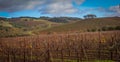 Ledson Vineyard & Winery near Kenwood CA