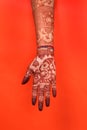 Ledy Feet and Hands in Heena for wedding in white background and isolated hand and feet | hand design | feet design | beautiful d