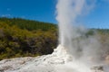 Ledy Knox geyser