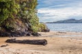 Lee Bay Beach, Ulva Island, New Zealand