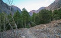 Lundy Canyon hiking trail