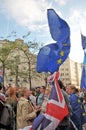 Women talking in a crowd with flags and banners at the leeds for europe anti brexit demonstration