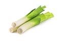 Leek Royalty Free Stock Photo