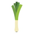 Leek vegetable in cartoon style. Fresh leek element isolated on white background Royalty Free Stock Photo