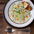 Leek cheese soup Royalty Free Stock Photo