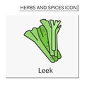 Leek color icon Royalty Free Stock Photo