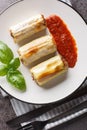 Leek dolma stuffed with minced meat, rice, cheese and vegetables served with tomato sauce close-up in a plate on the table. Royalty Free Stock Photo