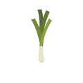 Leek icon, flat style.