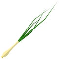 Leek icon, flat vector isolated illustration. Green onion. Farm fresh vegetable. Healthy food.