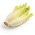 Leek Isolated On White Background - Artistic Style Inspired By Luca Giordano And Rachel Whiteread