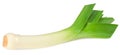 leek isolated on white background. with clipping path. full depth of field Royalty Free Stock Photo