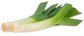 leek isolated on white background. with clipping path. full depth of field Royalty Free Stock Photo