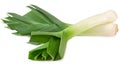 Leek isolated on white background. with clipping path. full depth of field Royalty Free Stock Photo