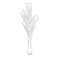 Leek outline in cartoon style, leek outline for coloring isolated on white background Royalty Free Stock Photo