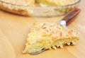 Leek pie Royalty Free Stock Photo