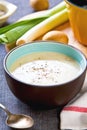 Leek and Potatoes soup Royalty Free Stock Photo