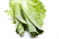 Leek on salad leaf
