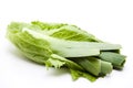 Leek on salad leaf