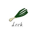 Leek sign. Fresh Vegetable isolated icon. Leek for farm market, vegetarian salad recipe design. vector illustration in Royalty Free Stock Photo