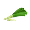 Leek with slices in cartoon style. Healthy food. Farm fresh veggie just from the garden. Organic eco vegetable for salads. Vector Royalty Free Stock Photo