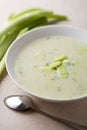 Leek soup Royalty Free Stock Photo