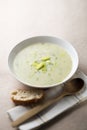 Leek soup Royalty Free Stock Photo