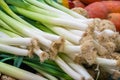 Leek and verious vegetables for sale at a market