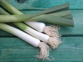 Leeks Royalty Free Stock Photo